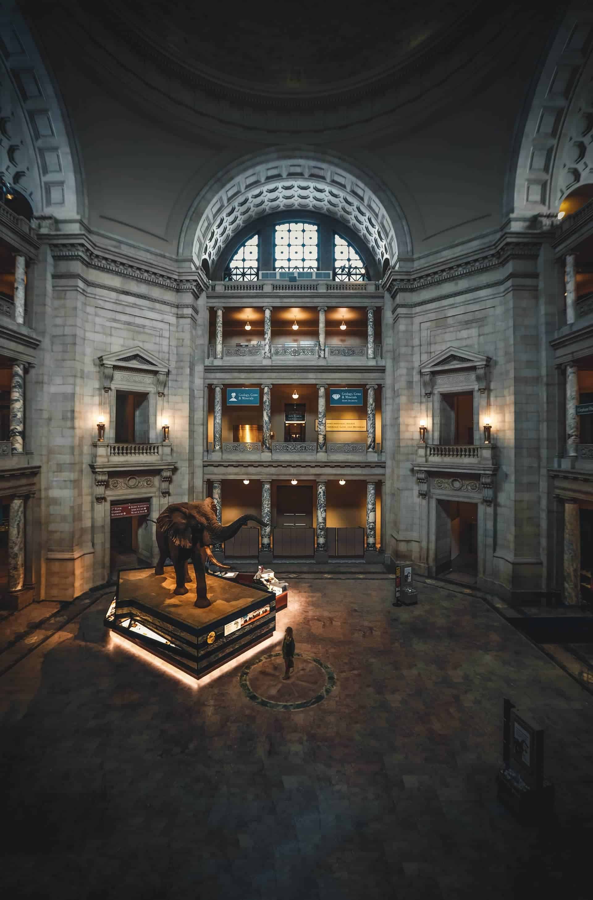 Mammoth in the middle of a museum